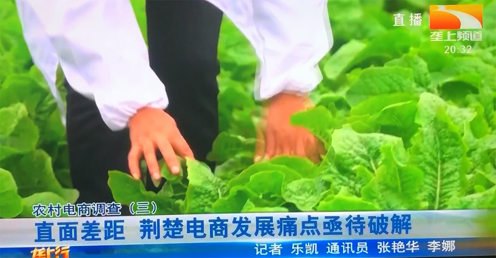 QQ截图20181114130711.png QQ截图20181114130711.png