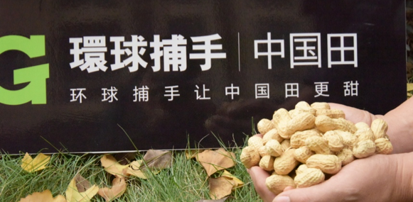 图片 8.png
