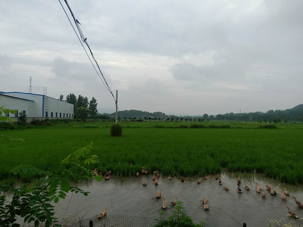 微信图片_20190709194811.jpg