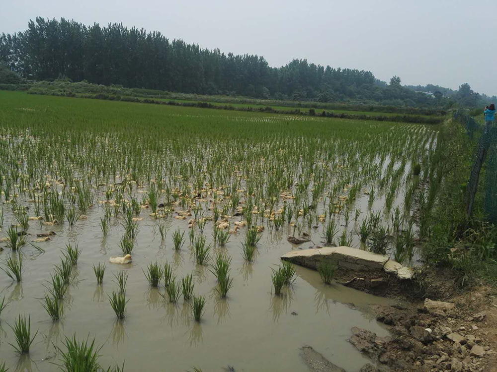微信图片_20190709194758.jpg