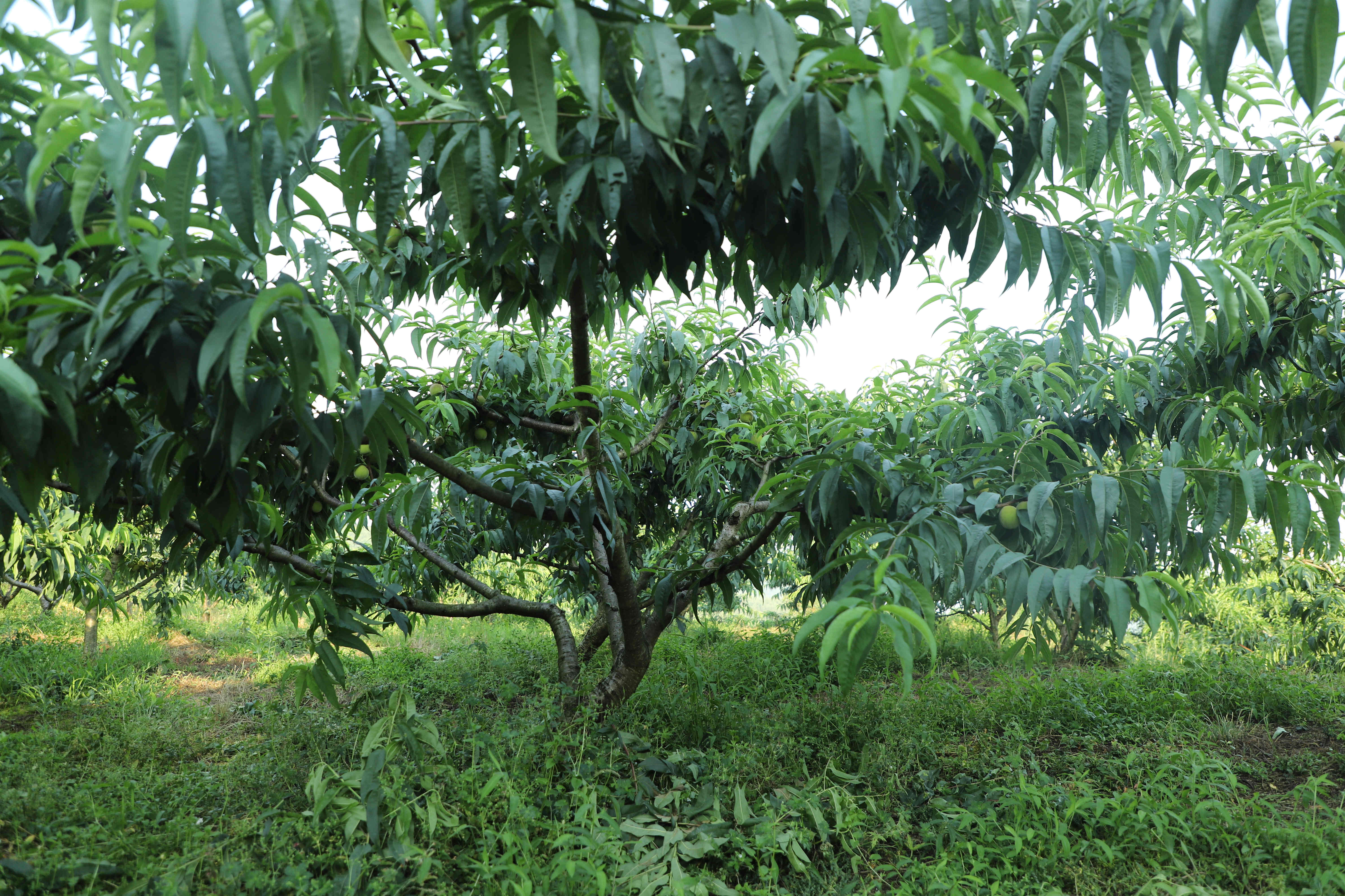 IMG_1770_副本.jpg