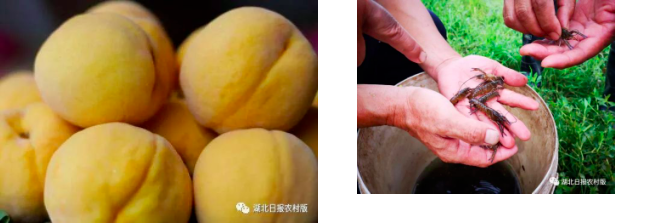 屏幕快照 2020-10-09 15.34.33.png 屏幕快照 2020-10-09 15.34.33.png